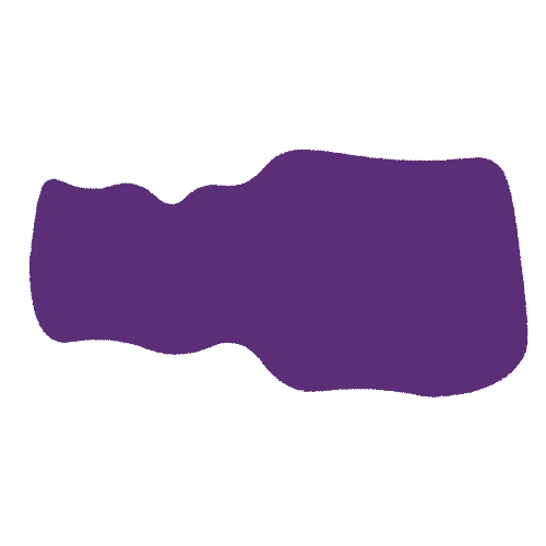 Caxias Do Sul Sticker by Festa da Nacional da Uva