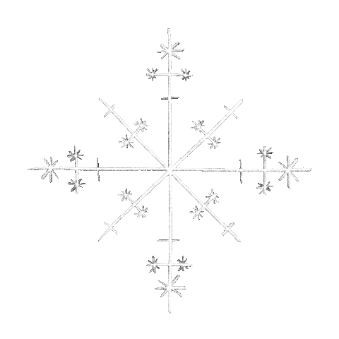 Christmas Snow Sticker