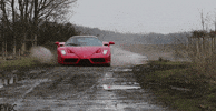 maximmotors  GIF