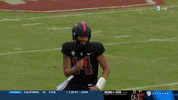 GIF by Stanford Athletics