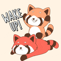 Wake Up Sleeping GIF