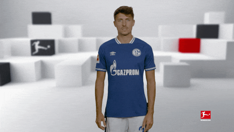 Posing Line Up GIF by Bundesliga