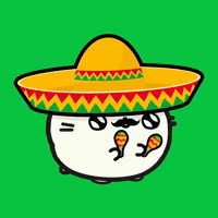Cinco De Mayo Fun GIF