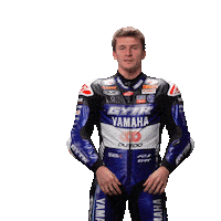 Sport Read Sticker by WorldSBK