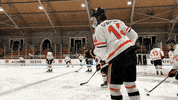 PrincetonAthletics hockey princeton princetontigers princetonhockey GIF