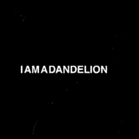 GIF by Project Dandelion