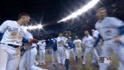 Bo Bichette GIF by MLB