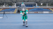 TytaniLublin sport futbol ball throw GIF