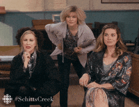 Watching Schitts Creek GIF by CBC