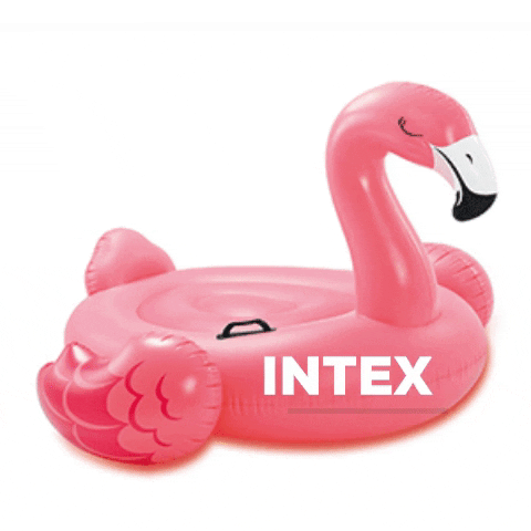 intex_france giphygifmaker summer beach pool GIF