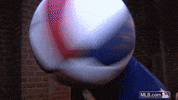 celebrity lol GIF by MLB