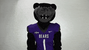 conway bearclawsup GIF by University of Central Arkansas