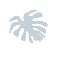 LaPozPlace plant plants leaf leaves Sticker