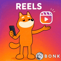 Social Media Instagram GIF by BONK