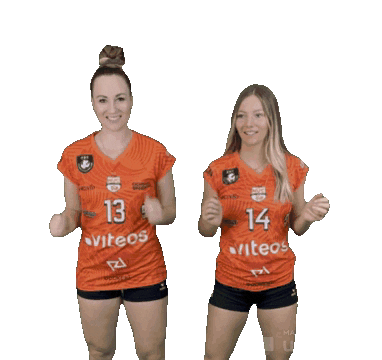 Happy Dance Sticker by NUCVolleyball