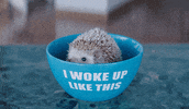 Happy Positivity GIF by George Ezra