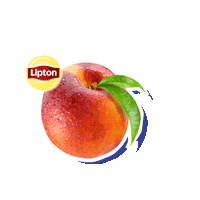 LiptonBrazil te lipton te helado stickerlipton Sticker
