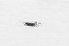 requiem for a dream coffee GIF