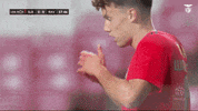 Sl Benfica Slbgif GIF by Sport Lisboa e Benfica