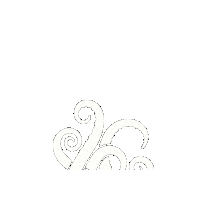Kraken Sticker by Verne Club