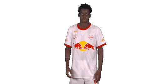 Red Bull Yes Sticker by FC Red Bull Salzburg