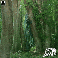 Creature Feature What GIF by Arrow Video