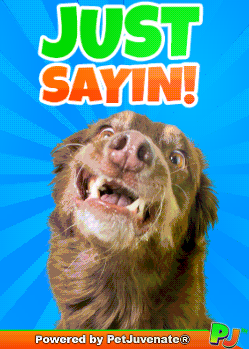 Im Just Sayin Truth Hurts GIF by PetJuvenate - PJ