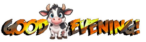 Panda Bear Fox Sticker