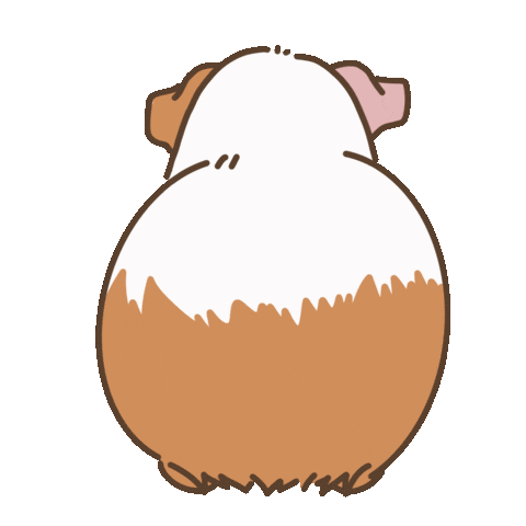 Licht Guineapig Sticker