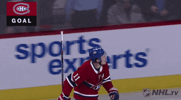 High Five Ice Hockey GIF by NHL