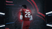 College Football GIF by gamecocksonline