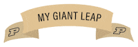 Black And Gold Graduate Sticker by Purdue University