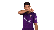Happy Serie A Sticker by ACF Fiorentina