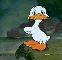 Duck GIF