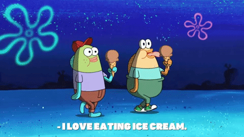 season 9 GIF by SpongeBob SquarePants