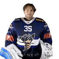 Hcc Zaetta Sticker by Hockey Club La Chaux-De-Fonds