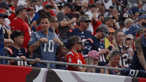 Football Nfl GIF by New England Patriots