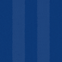 Football Scoring GIF by Odense Boldklub