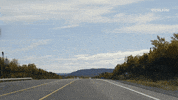 GIF by Dead Set on Life