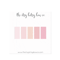 Theitsybitsybowco bows braid piggies pigtail Sticker