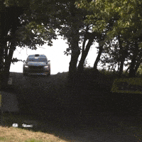 Speed Erc GIF by FIA European Rally Championship