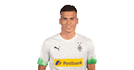 Bundesliga Diefohlen Sticker by Borussia Mönchengladbach