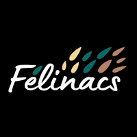 Felinacs felinacs félinac GIF