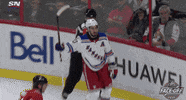 Ice Hockey Reaction GIF by NHL