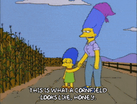 the simpsons GIF
