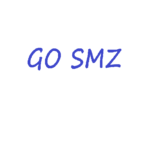 Zurich Go Sticker by Stadtmannschaft Zürich