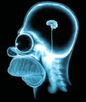 Homer Simpson Xray GIF
