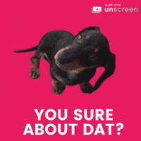Happy Sausage Dog GIF by Unscreen Happy Sausage Dog GIF by Unscreen