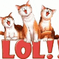 animation laughing GIF