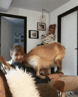 200.gif